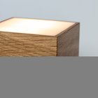 Tischleuchte Eiche massiv Beton von Holzlicht